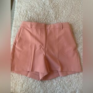 Express Editor Spring Shorts